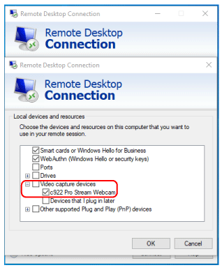 Enable cameras in RDP settings